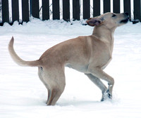 Sandy Performing her "Snow Dance"