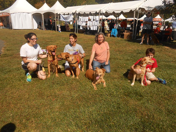 RORR family reunion (left to right) with Dickens (now Boomer), Lady Butler, Scarlett and the pup's mom Bettie Lu (now Tasha).